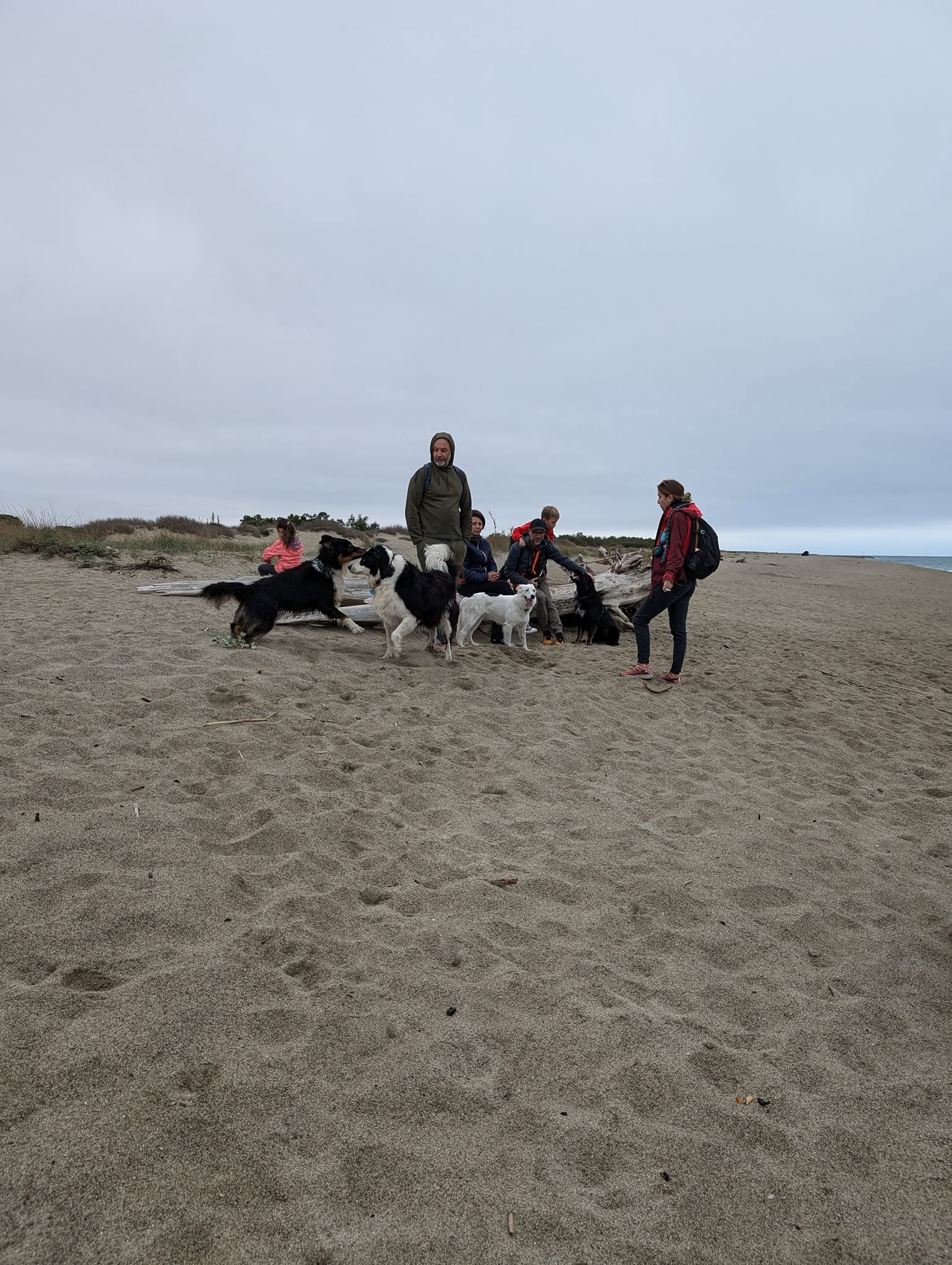 Balade collective sur la plage