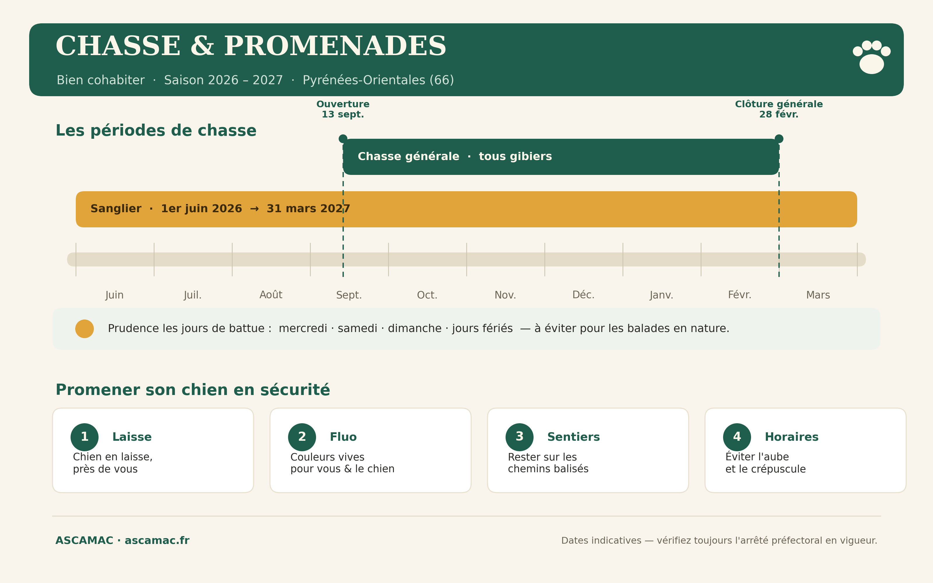Calendrier de la chasse 2026-2027 dans les Pyrénées-Orientales et conseils pour promener son chien en sécurité