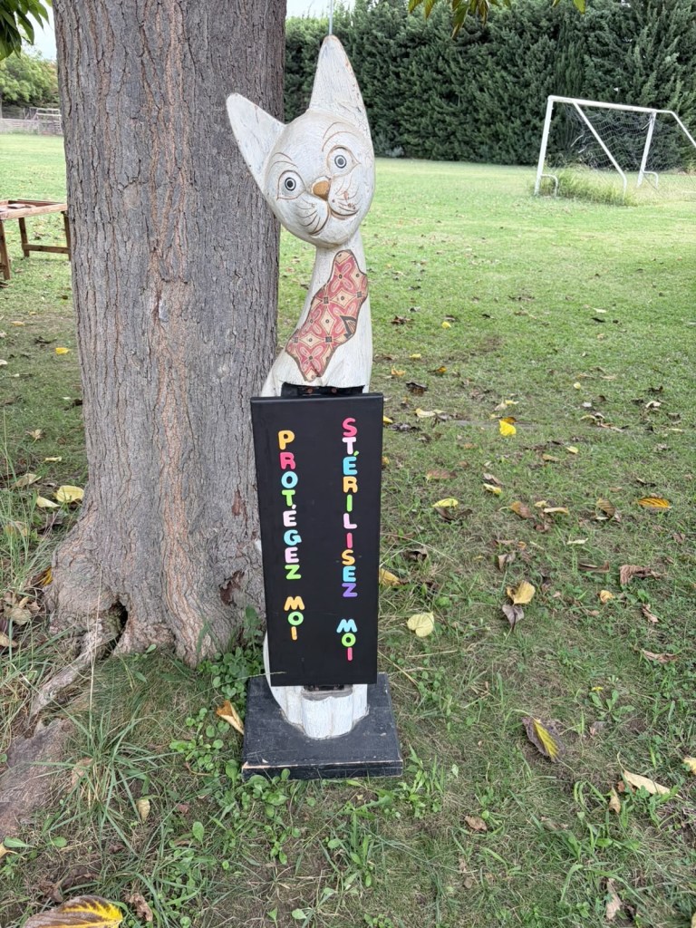 Sculpture de chat avec le message « Protégez-moi, stérilisez-moi ».